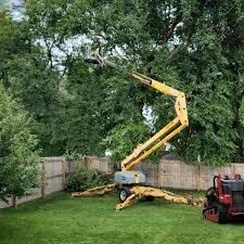  Fernandina Beach, FL Tree Services Pros